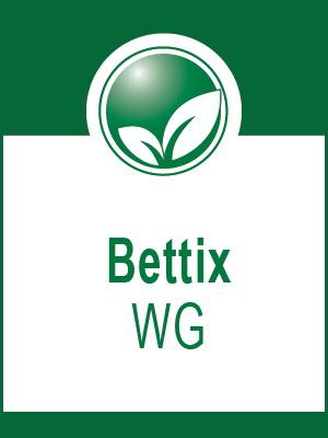 Bettix WG engedélyokirat