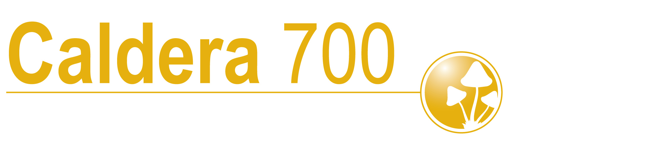 Caldera 700